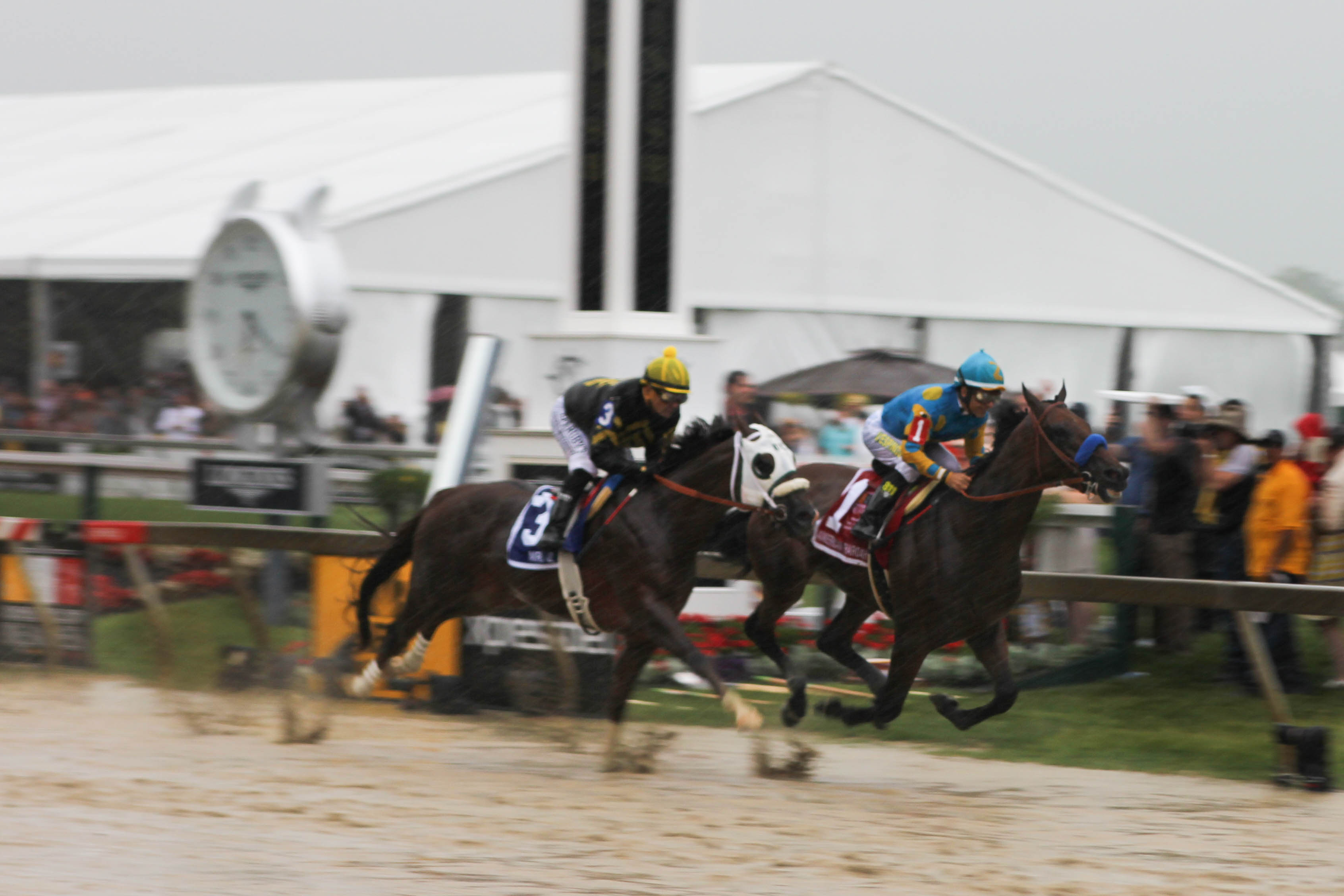 American Pharoah Wins Preakness In Downpour - CBS Baltimore