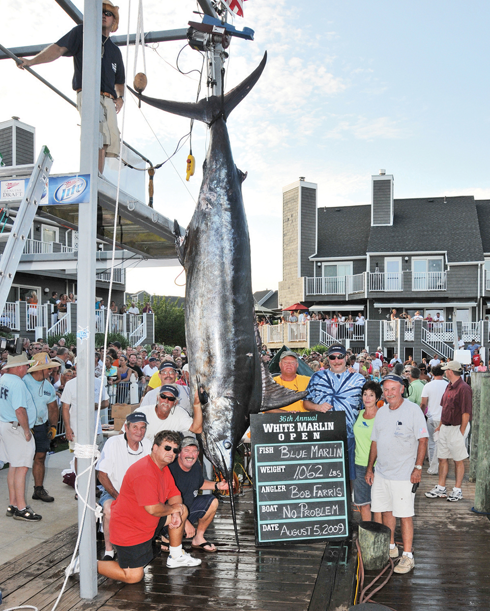 Reel Toy  White Marlin Open Stats 2022 Tournament at White Marlin