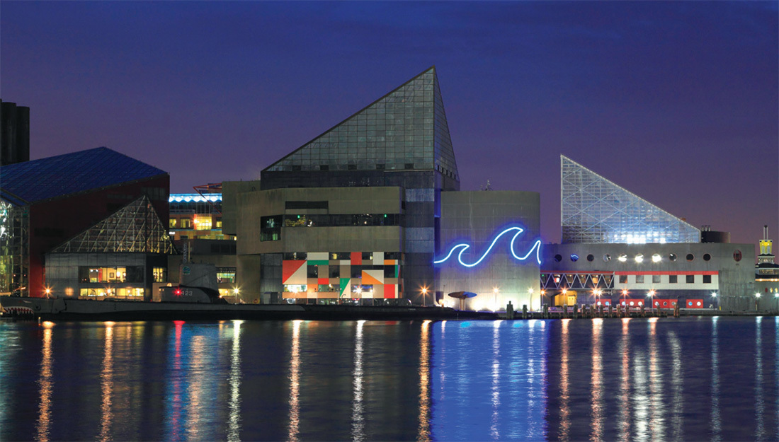 DISCOVER THE NATIONAL AQUARIUM LOCATED IN THE HEART OF BALTIMORE - The  Nellis Group Blog