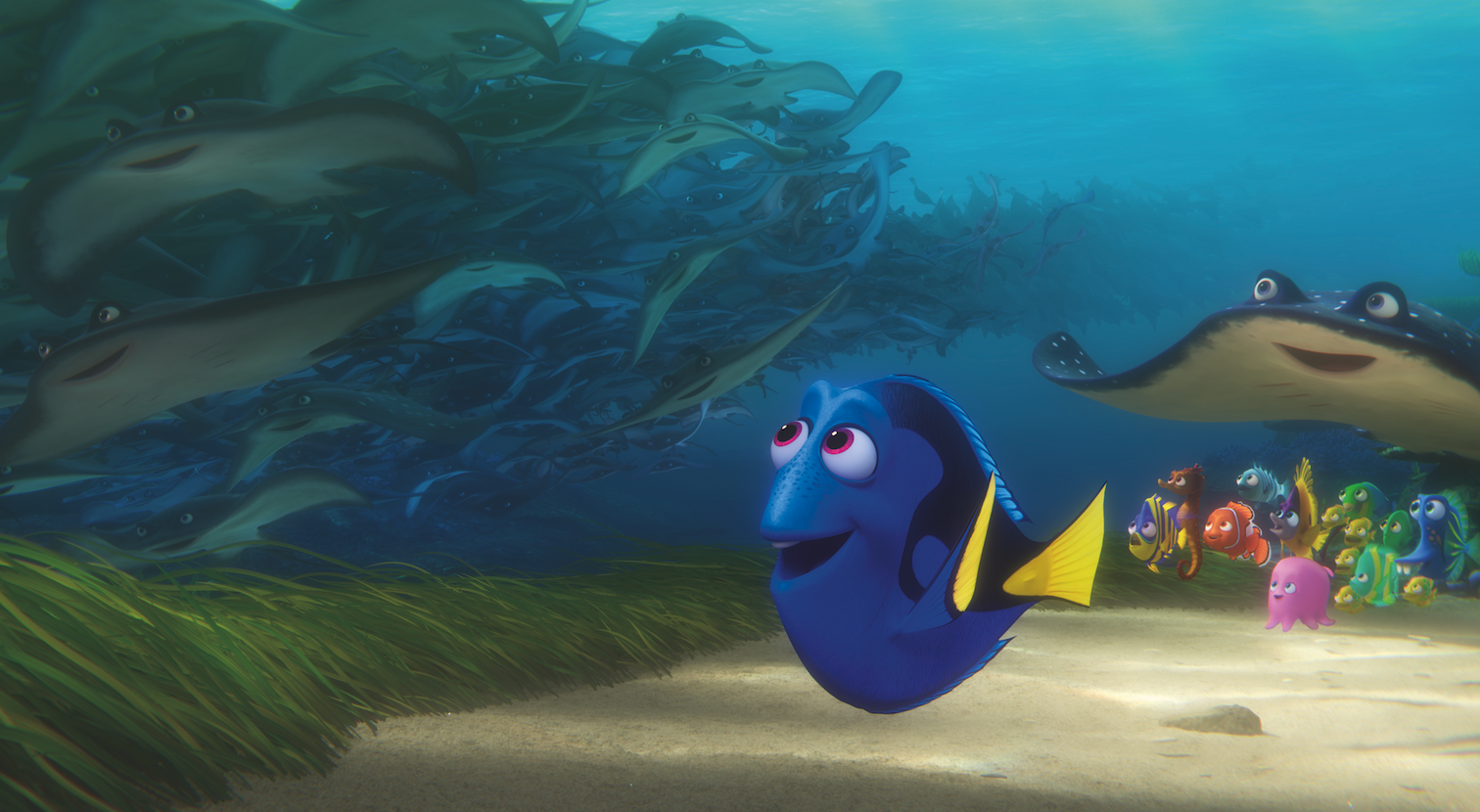 Review: Finding Dory - Baltimore Magazine