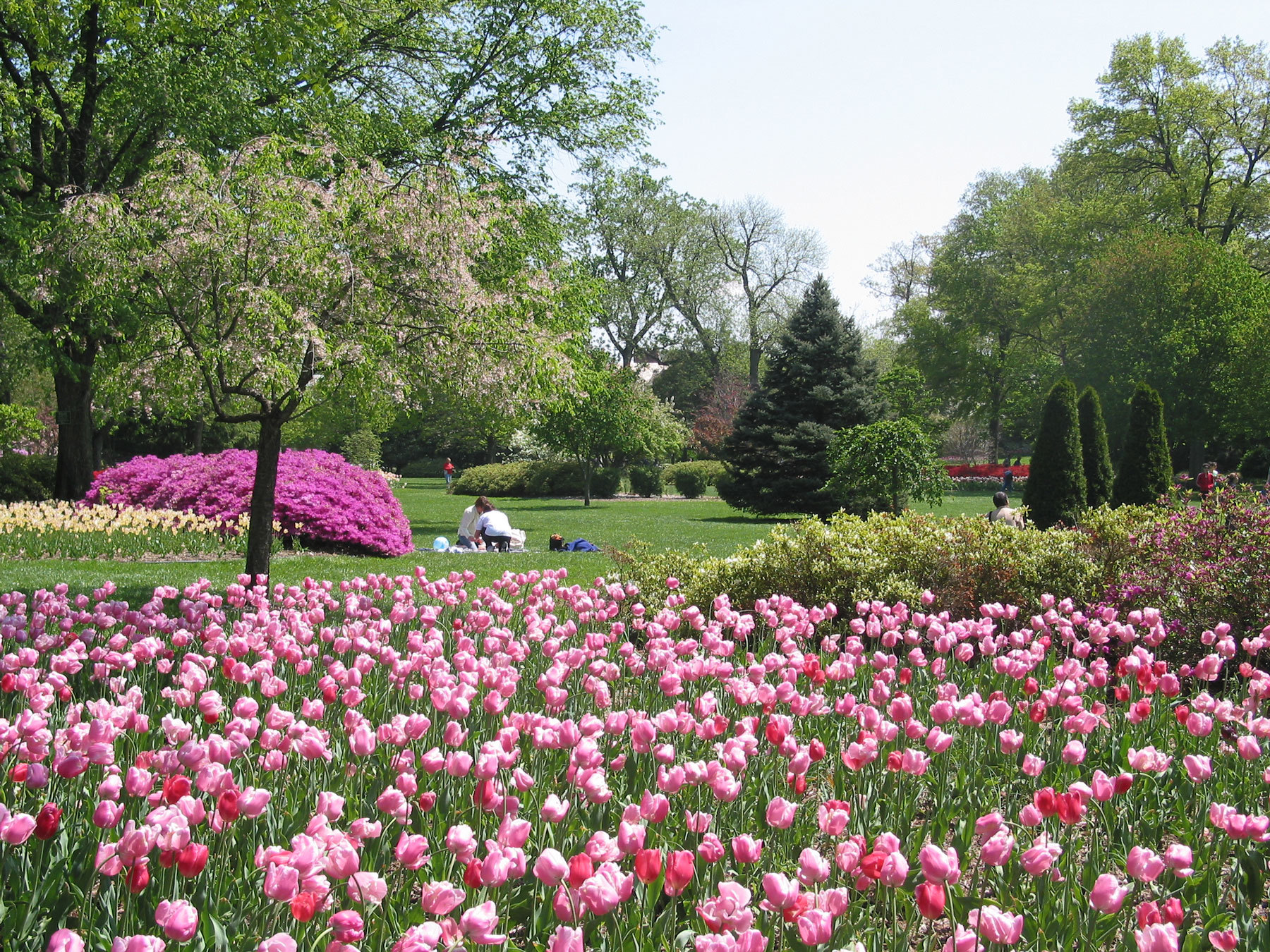 15 Perfect Places To Picnic