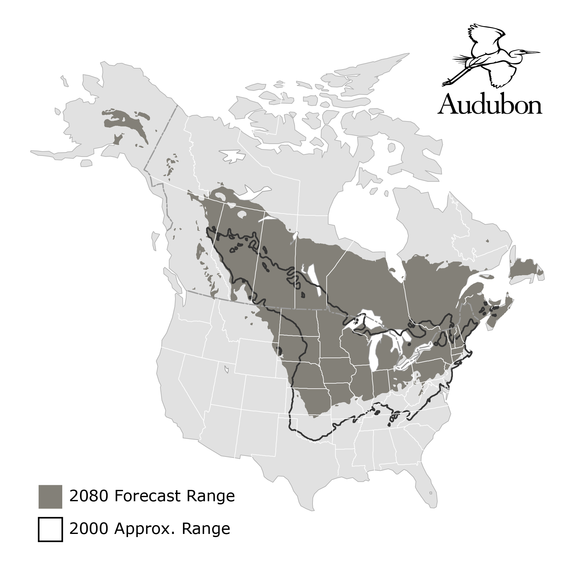 Baltimore Oriole  The Audubon Birds & Climate Change Report